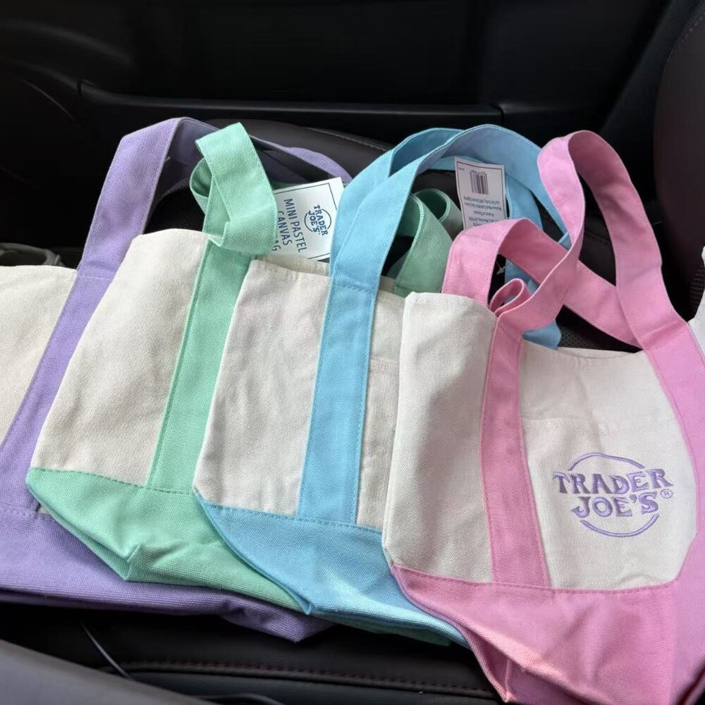Trader Joe's mini tote